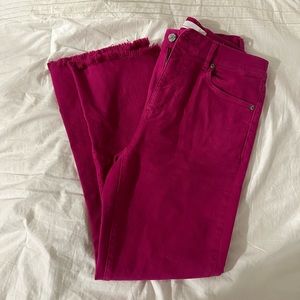 Loft Pants